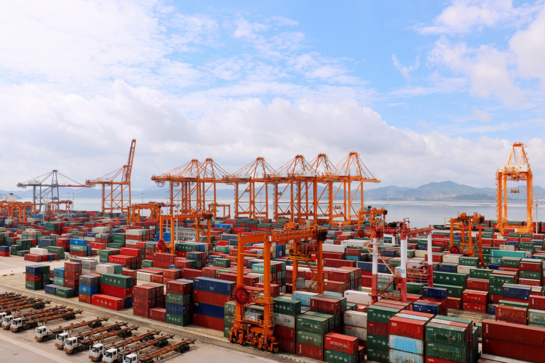 国内海运免柜期通常有几天，海运滞箱费是什么？