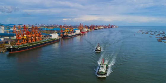 什么是集装箱船舶内贸海运行表贸？